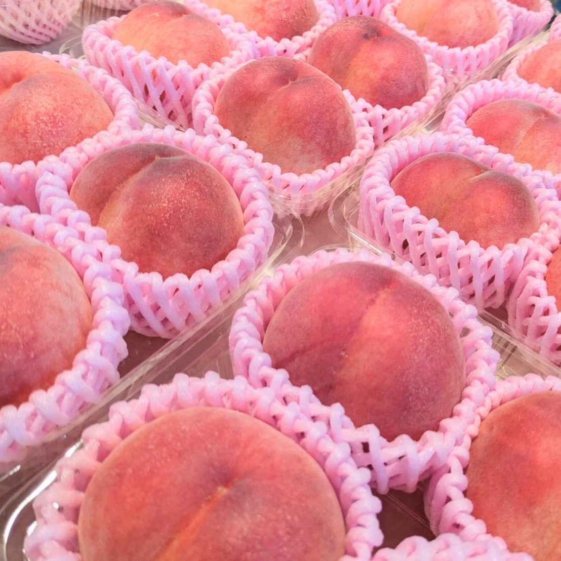 桃 木下屋水果園